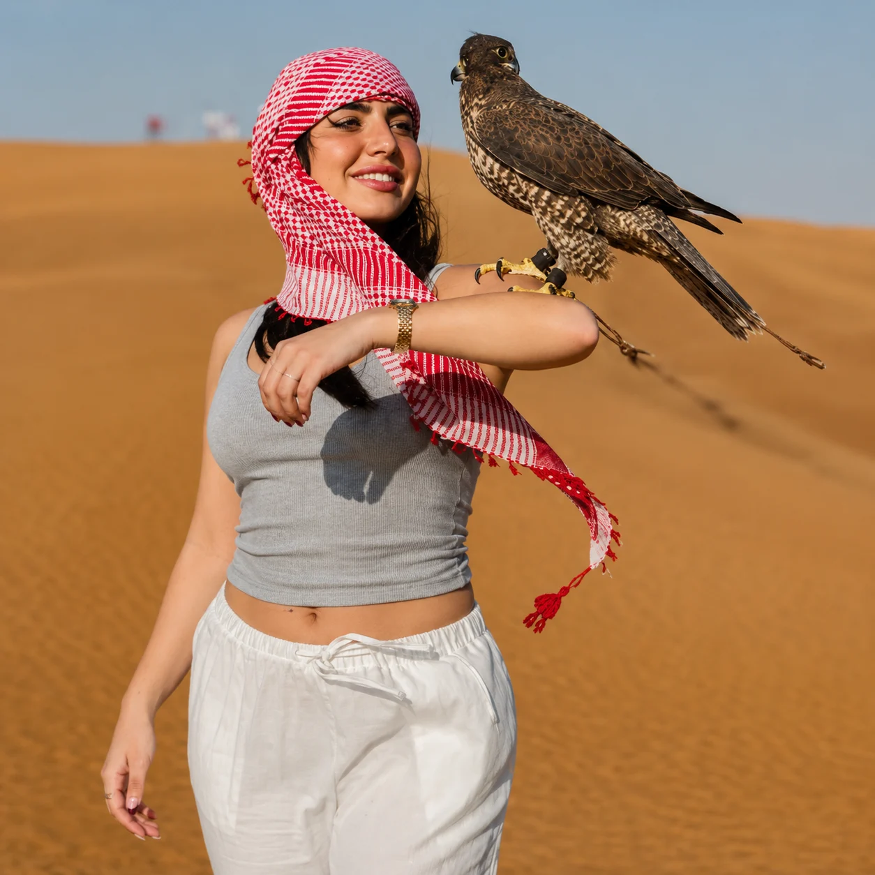 Falcon Experience